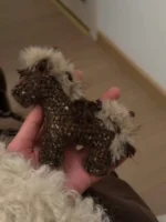 Crochet "Lucky Trotter" Pony Bag Charm – Farmhouse Style Keychain - Image 3